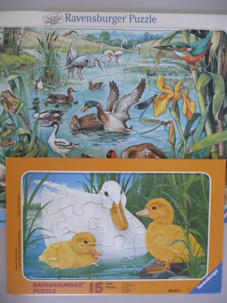 Spiel 6006.0